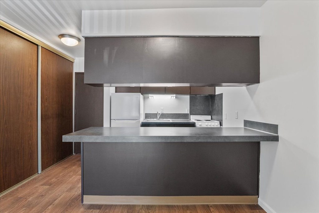 A modern kitchen with a dark grey countertop and wooden flooring.