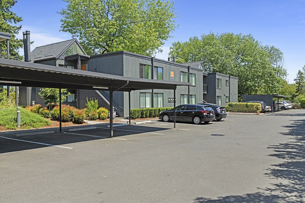 A black car is parked in a parking lot.