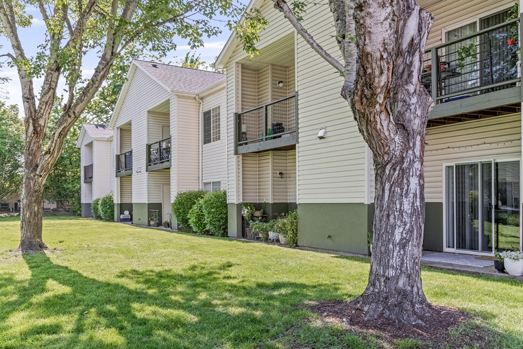 A tree stands in front of a building with balconies.
