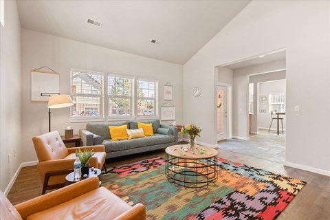 a living room with a gray couch and a colorful rug
