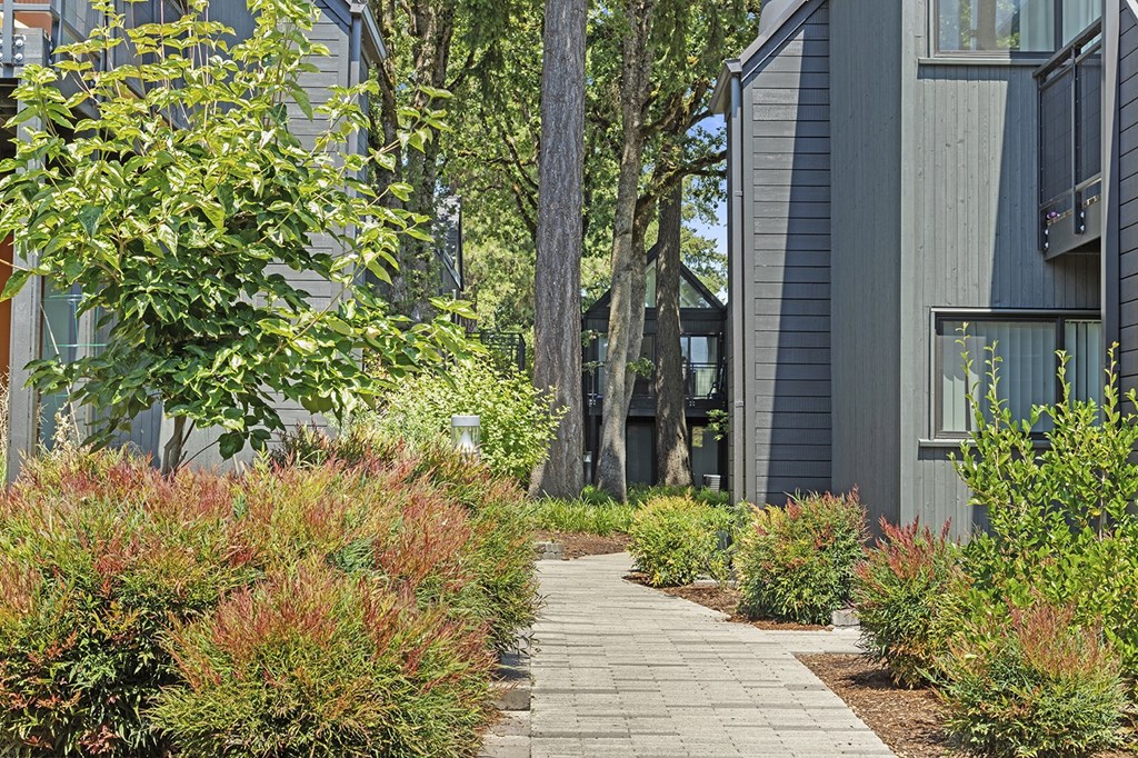 A walkway between two buildings with green shrubbery on either side.