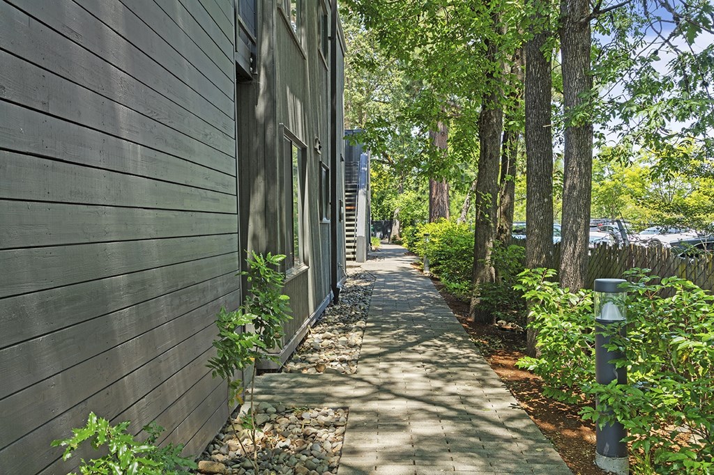 A narrow walkway between two buildings with trees on either side.