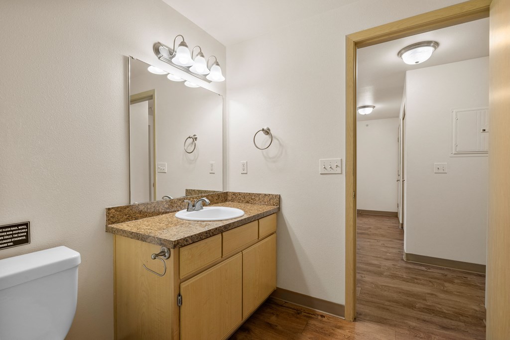 a bathroom with a mirror and a sink and a toilet