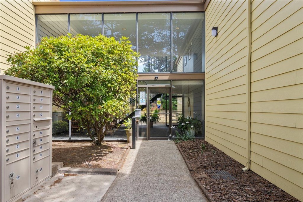 A tree is in front of a glass door.