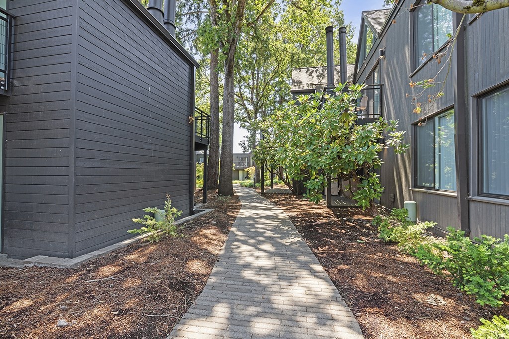 A pathway leads through a landscaped area between two buildings.