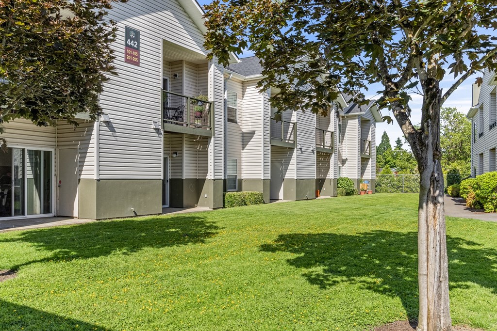 A tree stands in a grassy area in front of apartment buildings.
