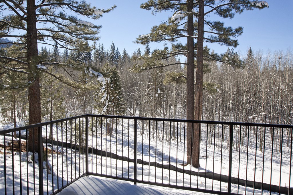 Aspens at South Lake deck view snow