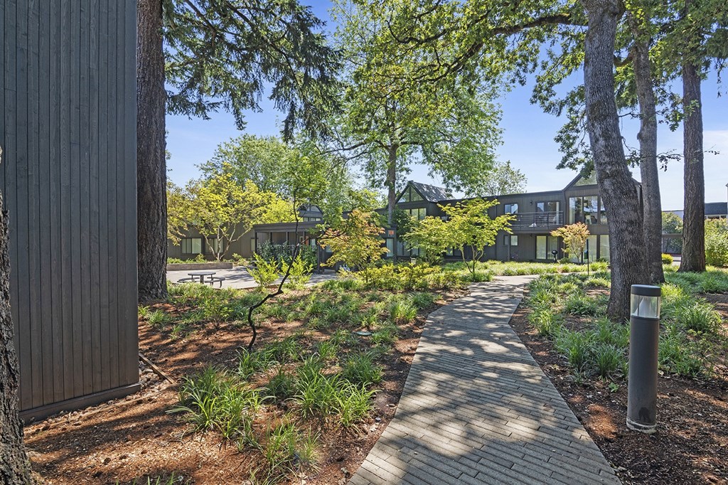 A walkway in a park with trees and a building in the background.