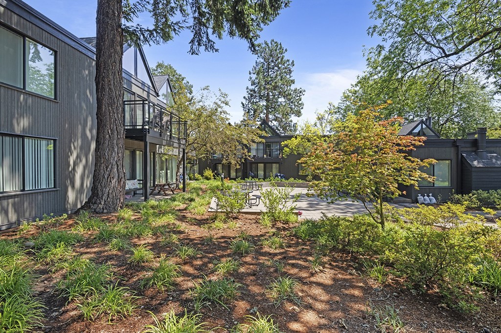 A modern house with a large front yard and trees.