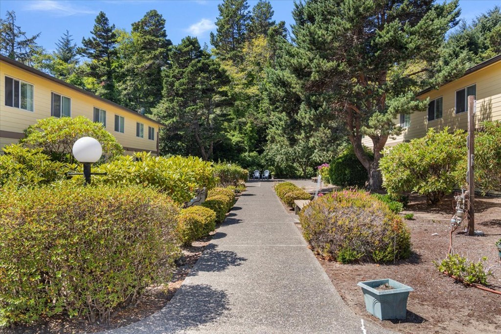 A pathway leads through a landscaped area with a building in the background.