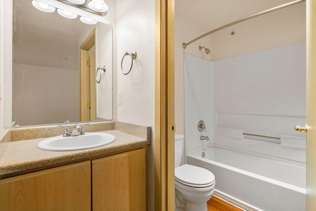a bathroom with a sink and a toilet and a bath tub