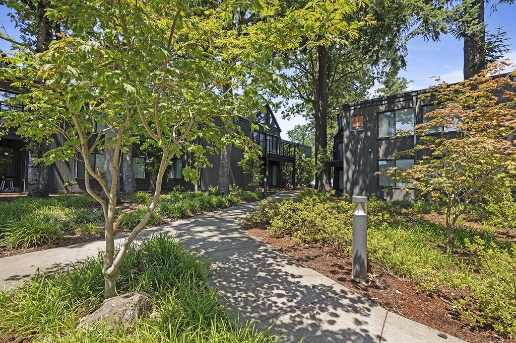 A tree with green leaves stands in front of a building.