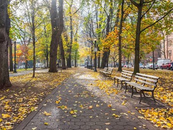 St James nearby park - Photo Gallery 6