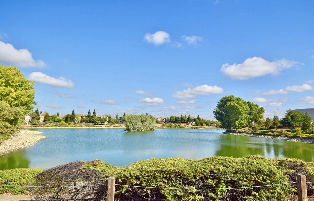 a lake in a park with trees and a fence