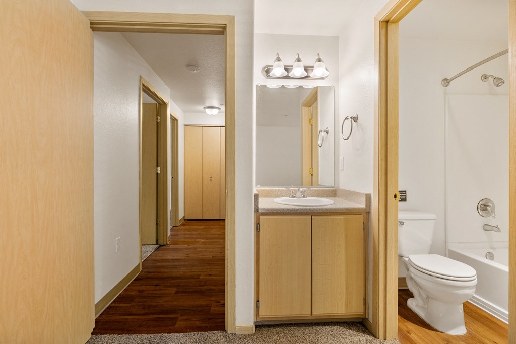 a bathroom with a toilet and a sink and a mirror