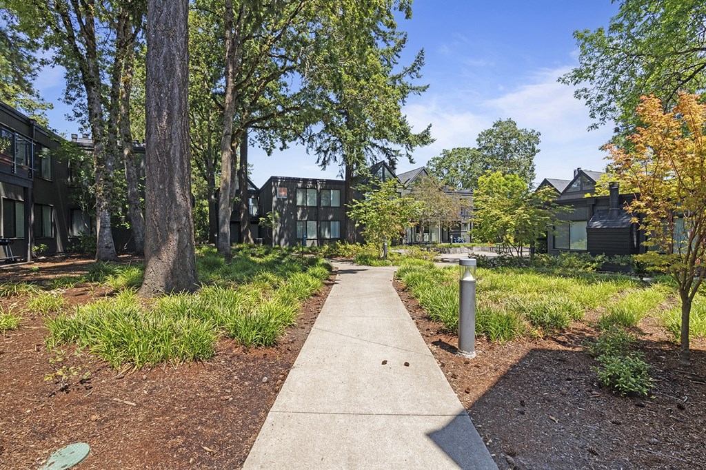 A concrete walkway leads through a tree-lined path in a residential area.
