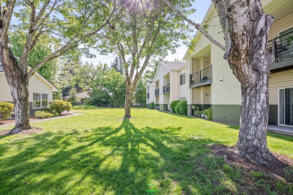 A tree in a grassy area in front of apartment buildings.