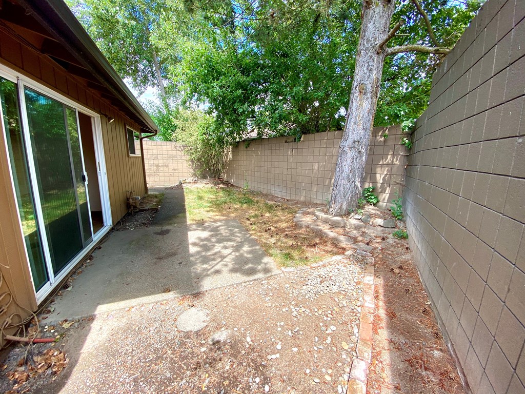 Sunrise Park backyard