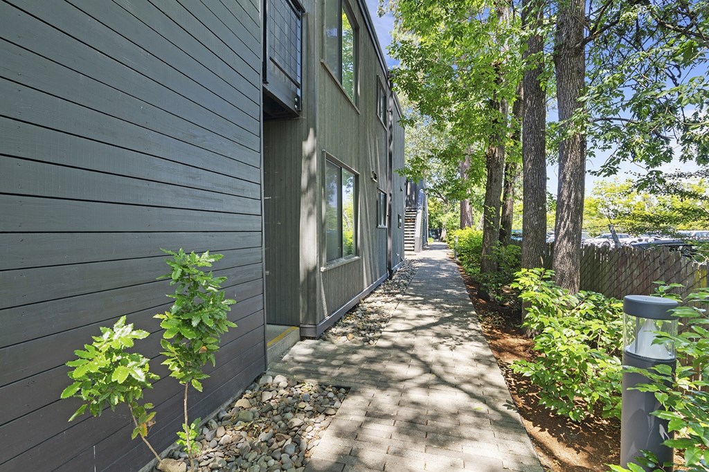 A narrow walkway between two buildings with greenery on the sides.