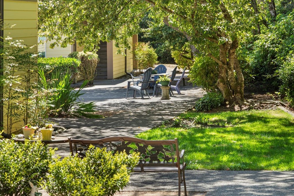 A sunny day in a garden with a bench and a table.