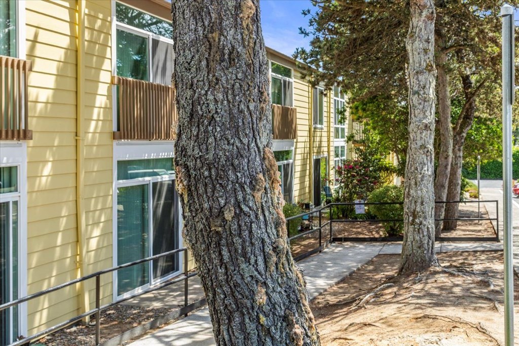 A tree trunk in the foreground with a building in the background.
