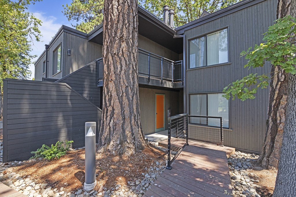 A modern house with a grey exterior and a large tree in front.