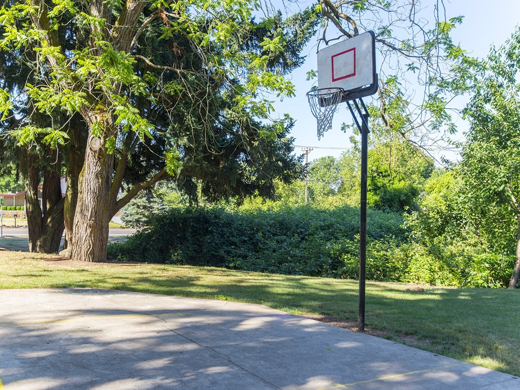 a basketball hoop in a park next to a tree