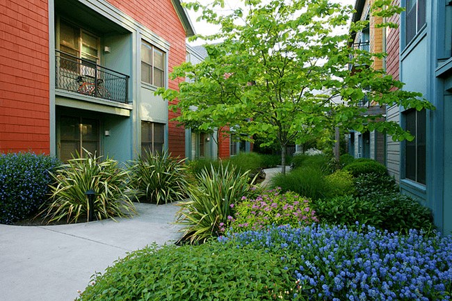 a sidewalk in front of a building with plants and trees