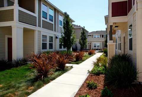 a sidewalk in front of a row of houses