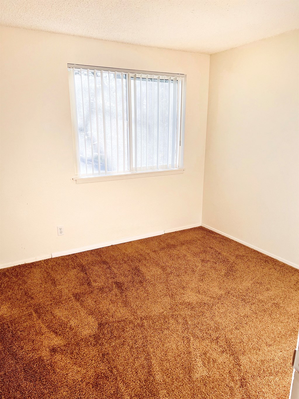 an empty room with carpet and a window