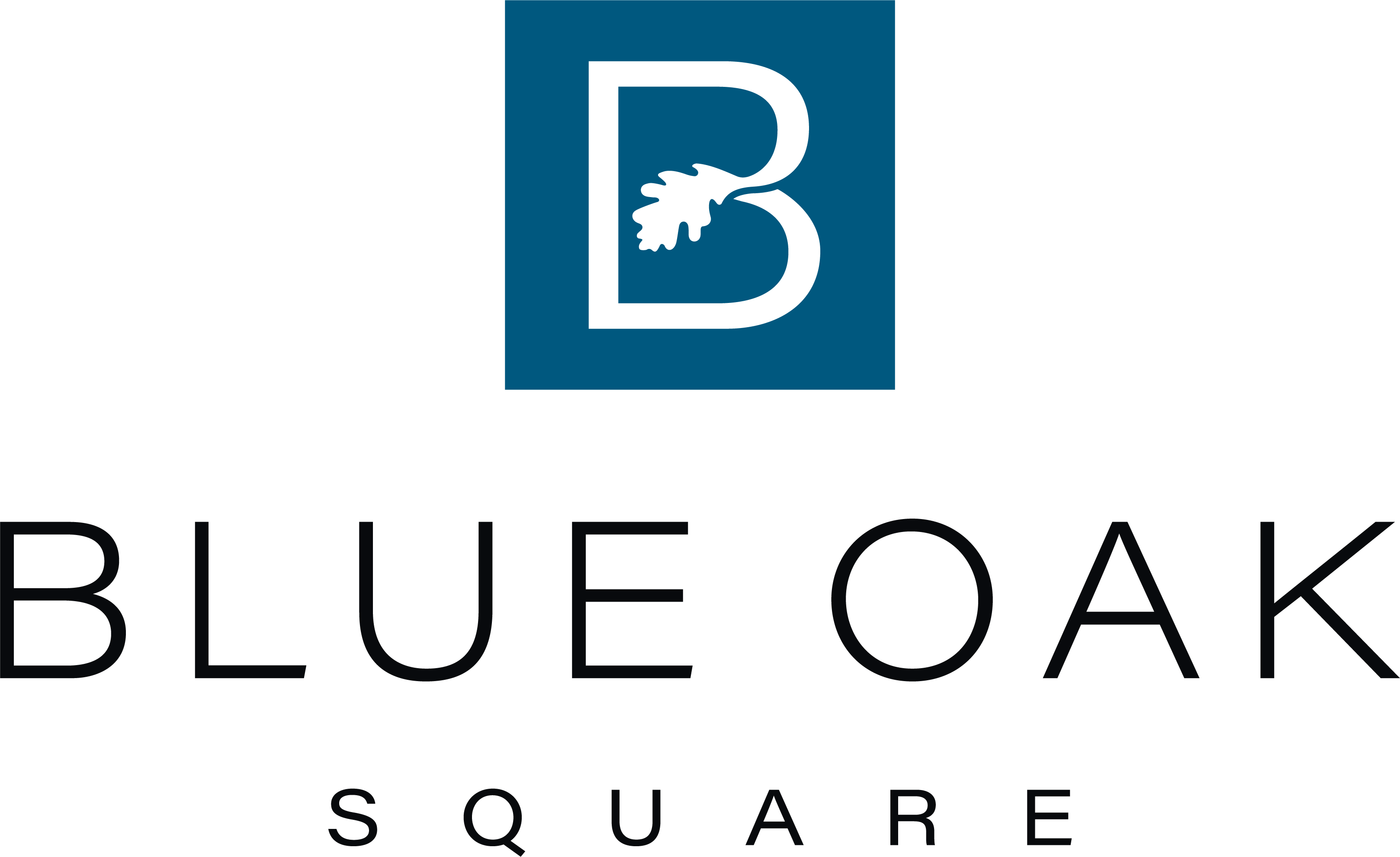 A logo with a blue oak tree and the words "Blue Oak Square" below it.