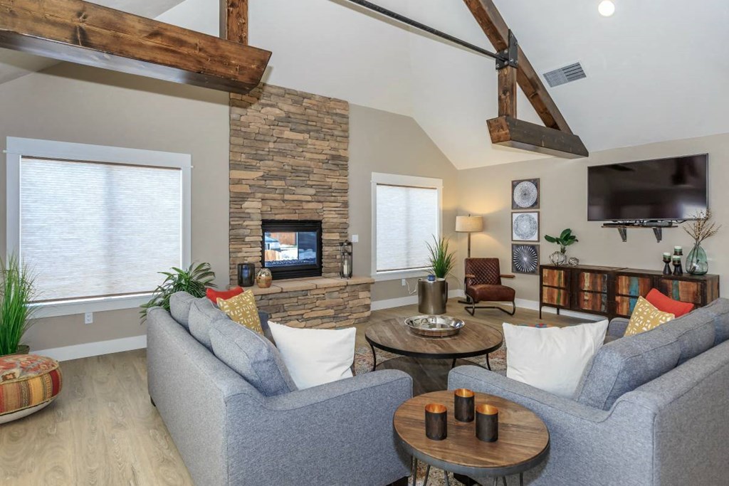 a living room with couches and a tv and a fireplace