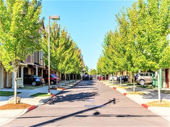 Calico Place view down the street between the townhomes