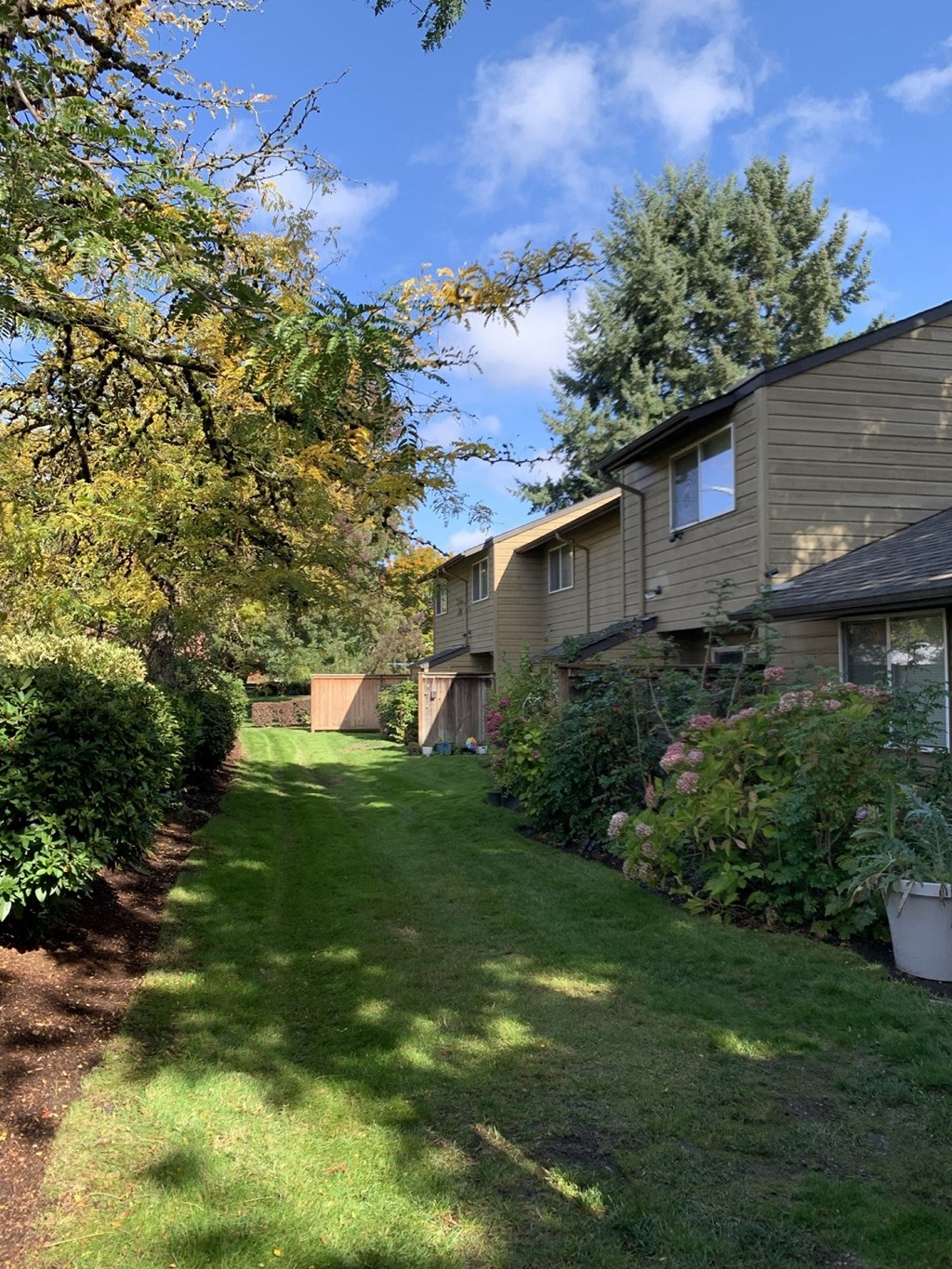 Coburg Road exterior landscaping