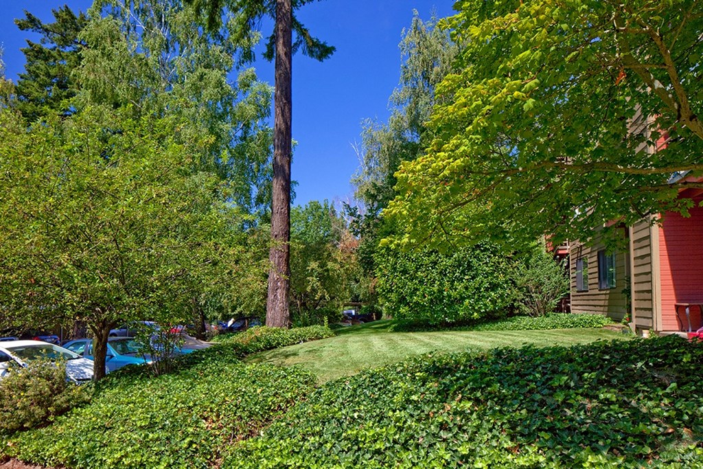 a grassy area with trees in the background and a red building in the foreground