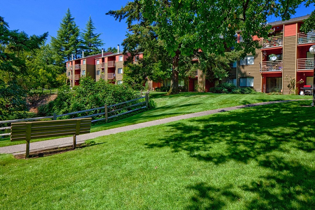 a grassy area with a bench and trees in the background