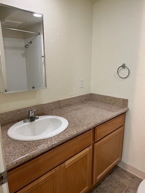 a bathroom with a sink and a mirror