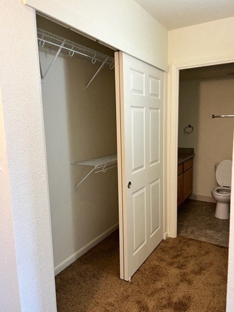 a bathroom with a closet and a toilet in it