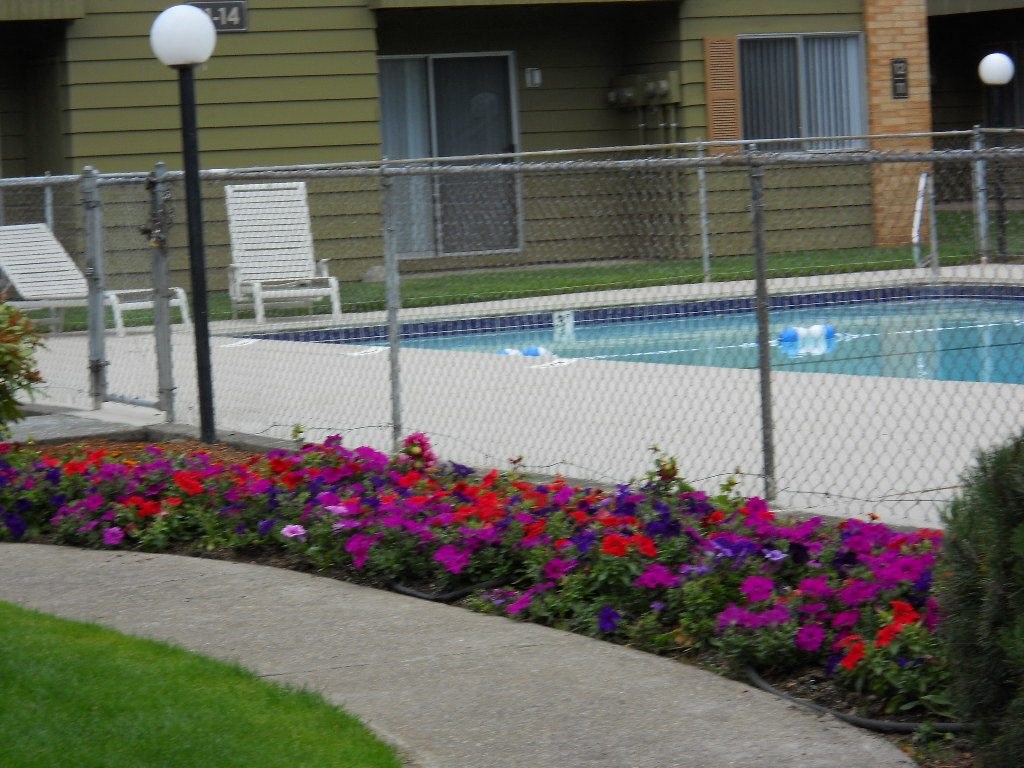 a yard with a pool and flowers behind a chain link fence
