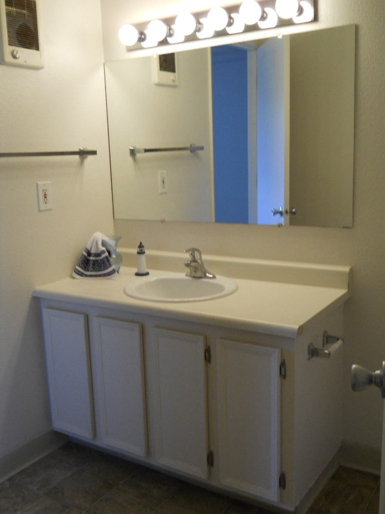 a bathroom with a sink and a mirror