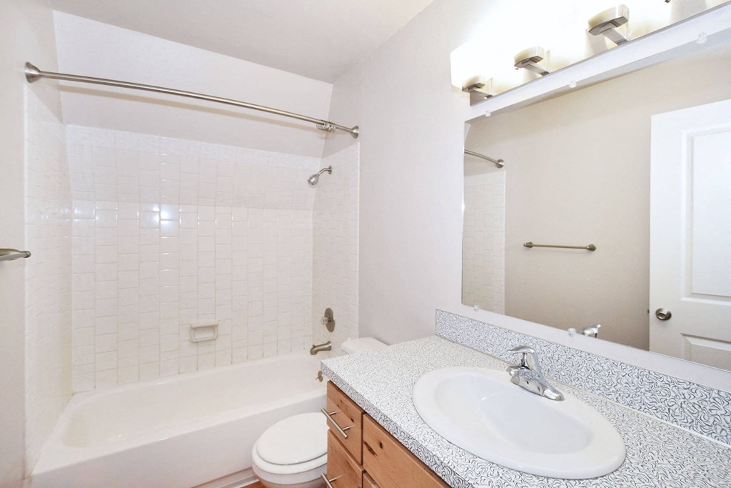 a bathroom with a sink and a shower and a toilet