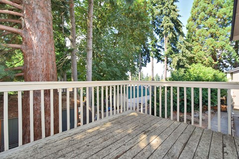 large deck overlooking the pool and trees in the backyard
