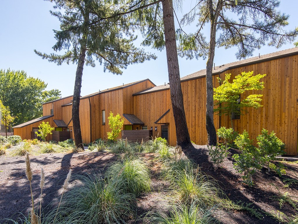 the house is surrounded by trees and plants