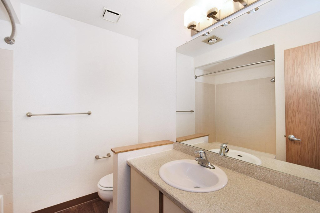 a bathroom with a sink and a mirror and a toilet