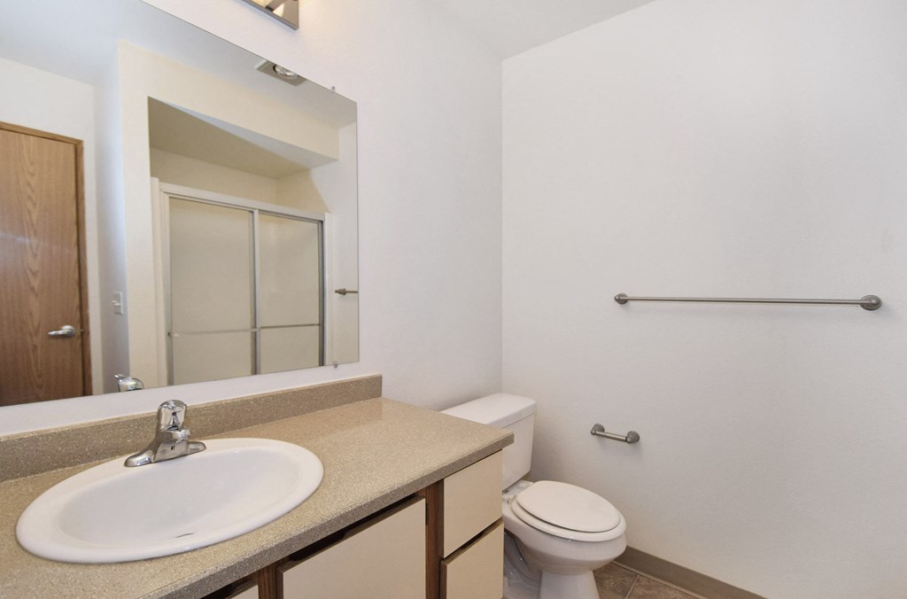 a bathroom with a sink and a toilet and a mirror