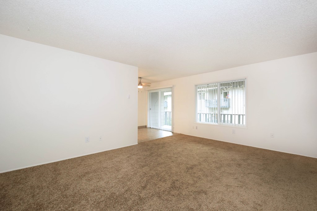 Empty room with carpeted floor and white walls.