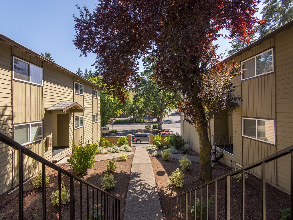 Gladstone Forest landscaping
