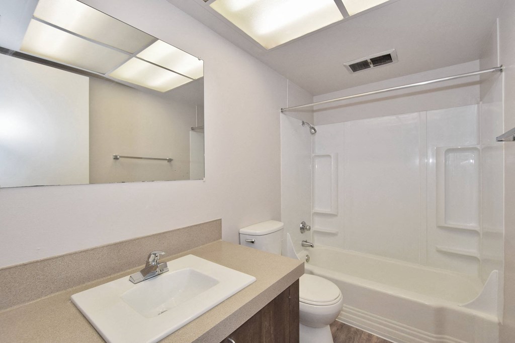 a bathroom with a sink and a toilet and a shower