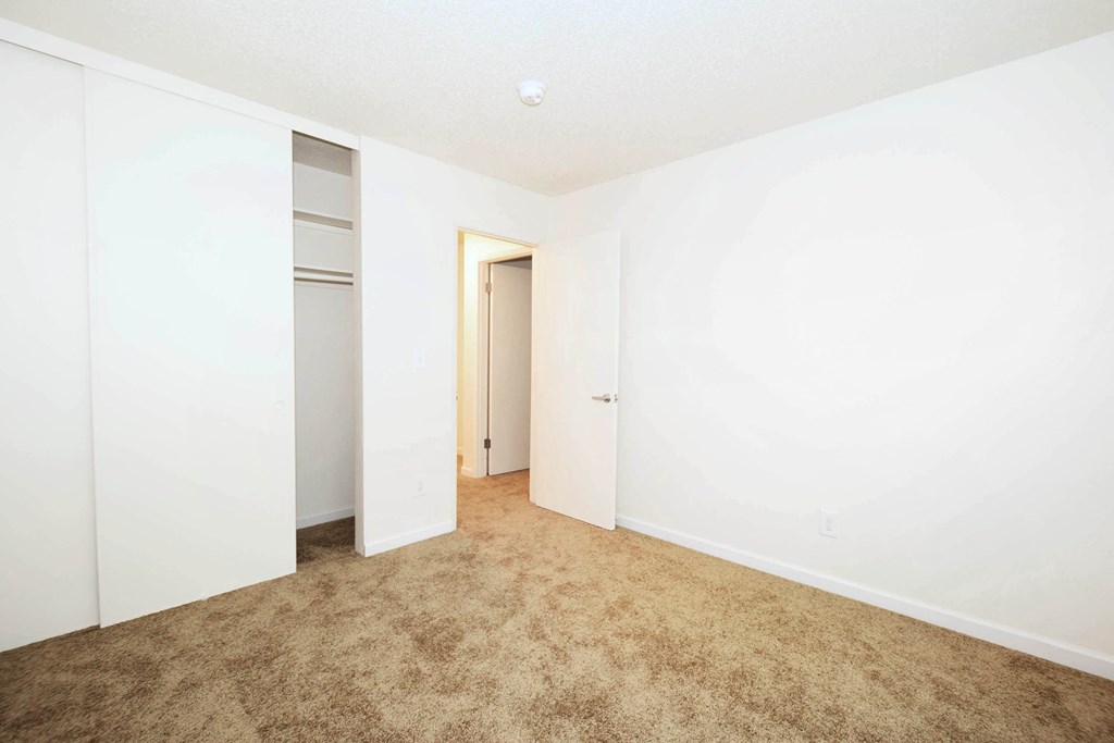 A room with a carpeted floor and white walls.