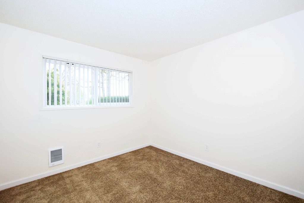 A room with a window and a carpeted floor.